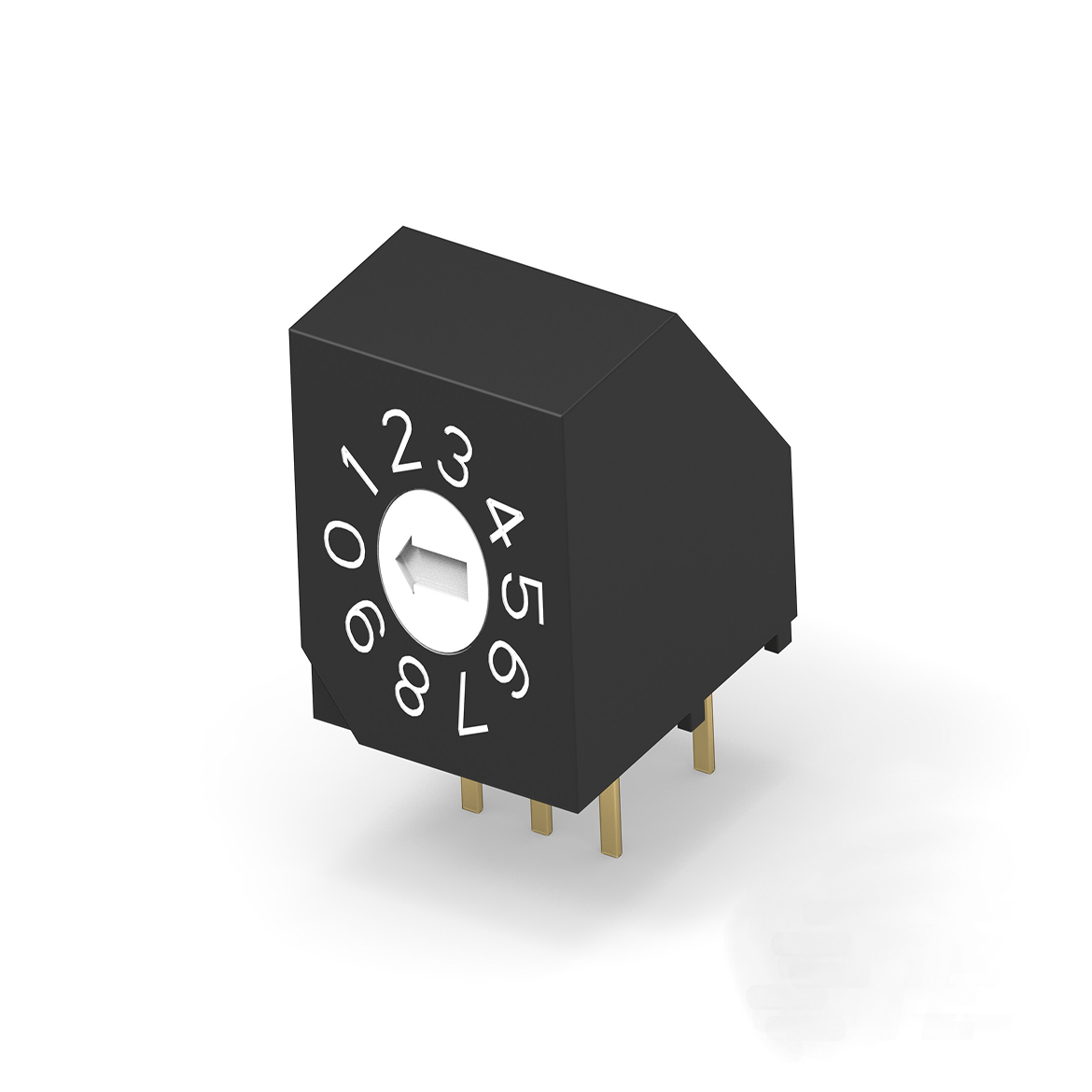 Rotary Switches